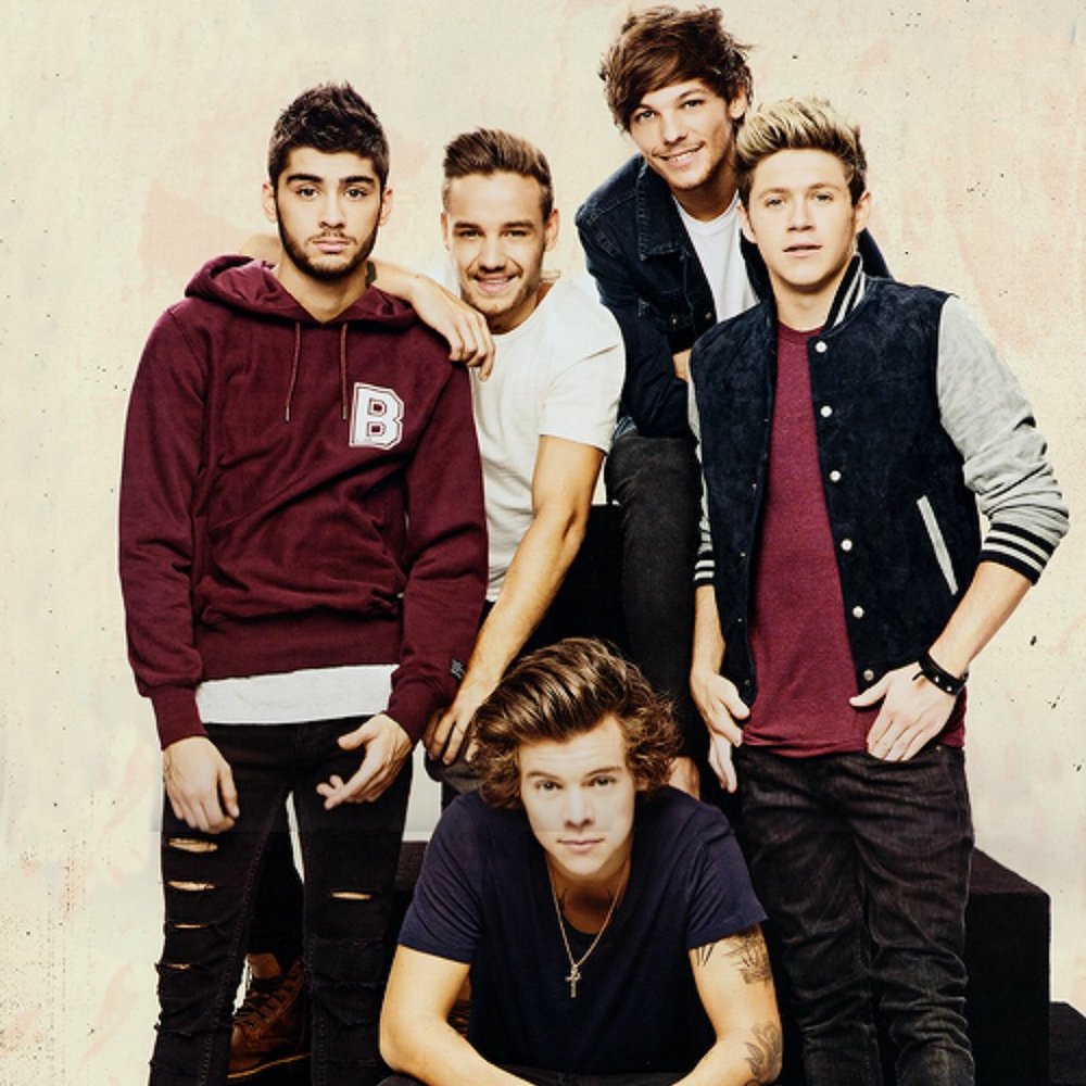 ISO any 1D/solo merch!